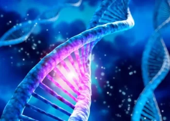 Exploring The Astounding Net Worth Of Jin Gates