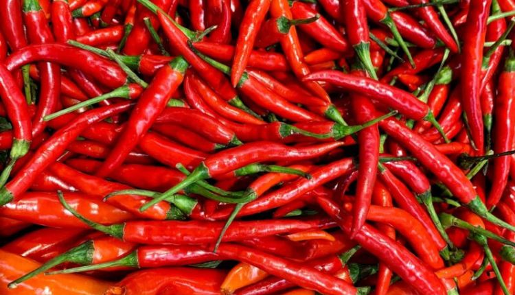 Red Chilli: Exploring Its Uses, Benefits, And Side Effects”