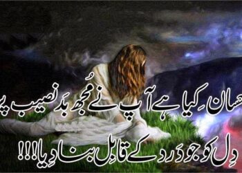 In The Realm Of Urdu Poetry: Capturing Emotions In Two Lines