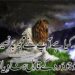 In The Realm Of Urdu Poetry: Capturing Emotions In Two Lines