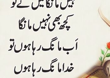 The Melancholic Symphony: Exploring The Beauty Of Urdu Poetry