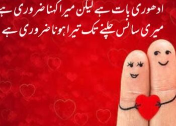 Brothers Poetry In Urdu