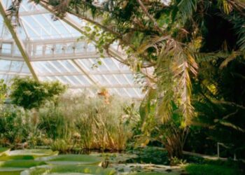 Flower and Nature Photography: Botanical Gardens and Parks for Insta-Floral Feeds