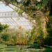 Flower and Nature Photography: Botanical Gardens and Parks for Insta-Floral Feeds