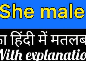 Shemale Tube – A Social Platform For Transgender Erotica