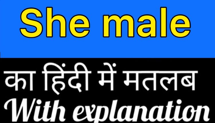 Shemale Tube – A Social Platform For Transgender Erotica