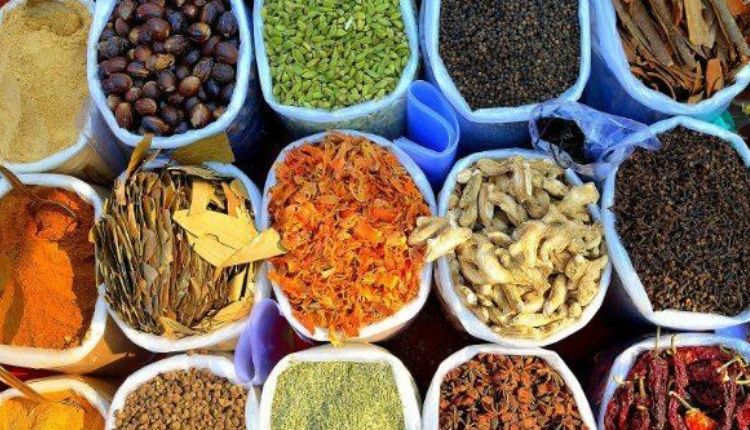 The MASLA And TESOL Tracks