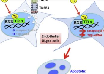 Gary Hinge – A True Pseudo-Documentary
