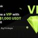 Tiny Bet VIP: A High-Stakes Experience For Small-Stakes Players