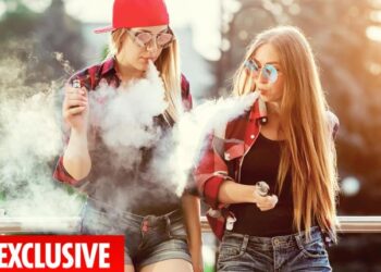 Why Elf Bar 1500 Puffs Disposable Vape Is A Game-Changer In Vaping